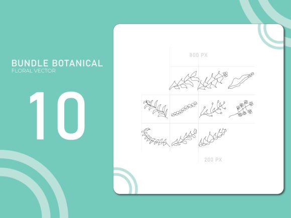Hand Drawn Botanical 11: A Practical Review of Versatile Clip Art Assets