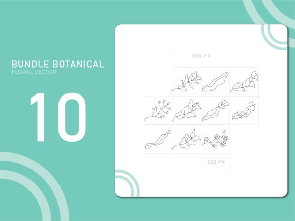 Hand Drawn Botanical 19: A Strategic Asset for Thoughtful Design and Brand Communication